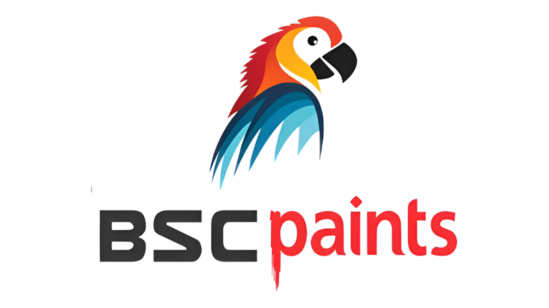 BSC Paints