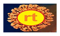 Rudraksh Traders